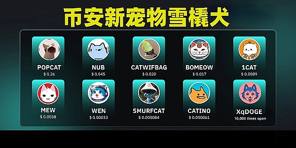 资深交易员的肺腑之言：为什么交易计划就是你的金融保险单